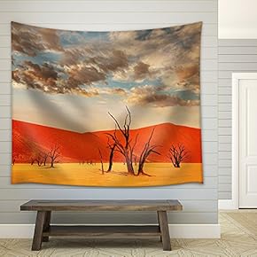 Dead Valley in Namibia - Fabric Wall Tapestry Home Decor - 51x60 inches