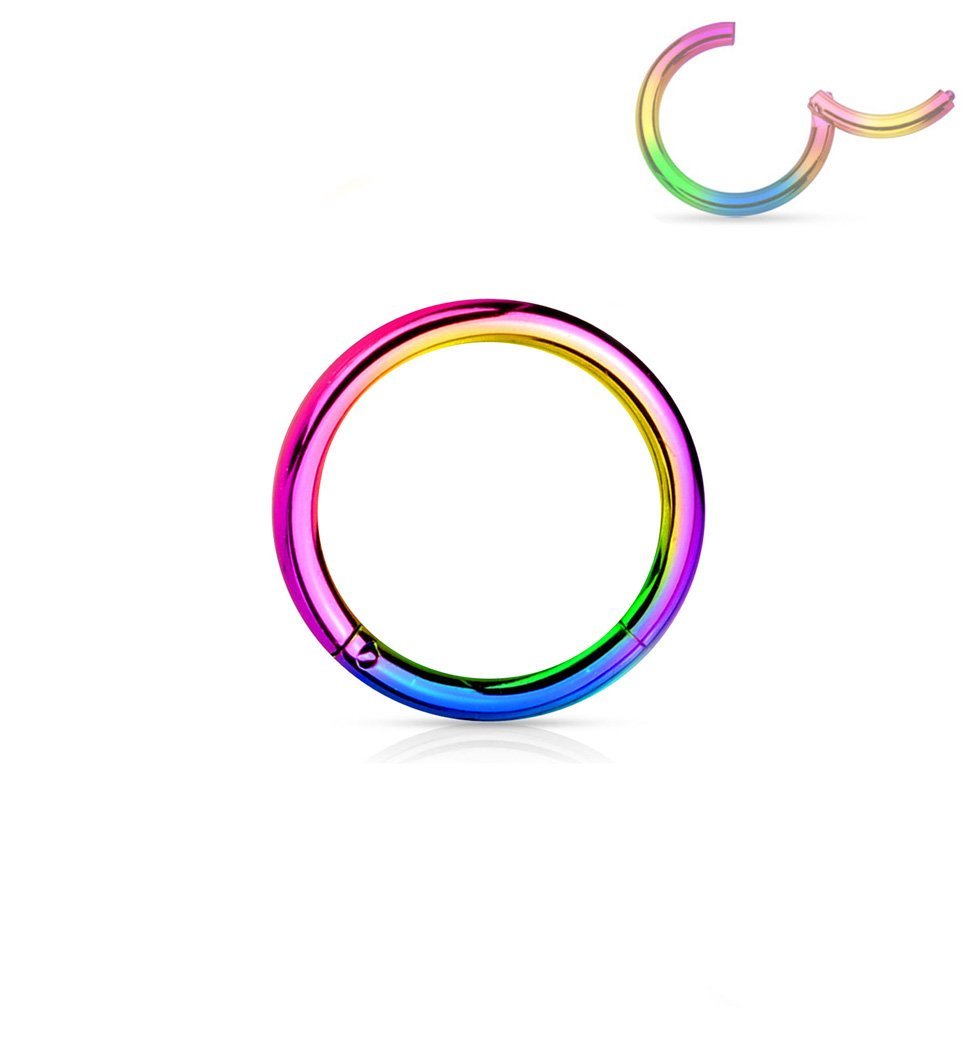 Forbidden Body Jewelry Aro para nariz sin costuras con bisagras de acero quirúrgico 316L, 14G, 16G, 18G, diámetro 6 mm, 8 mm, 10 mm, 12 mm, colores oro/oro rosa/plata/negro/arco iris.