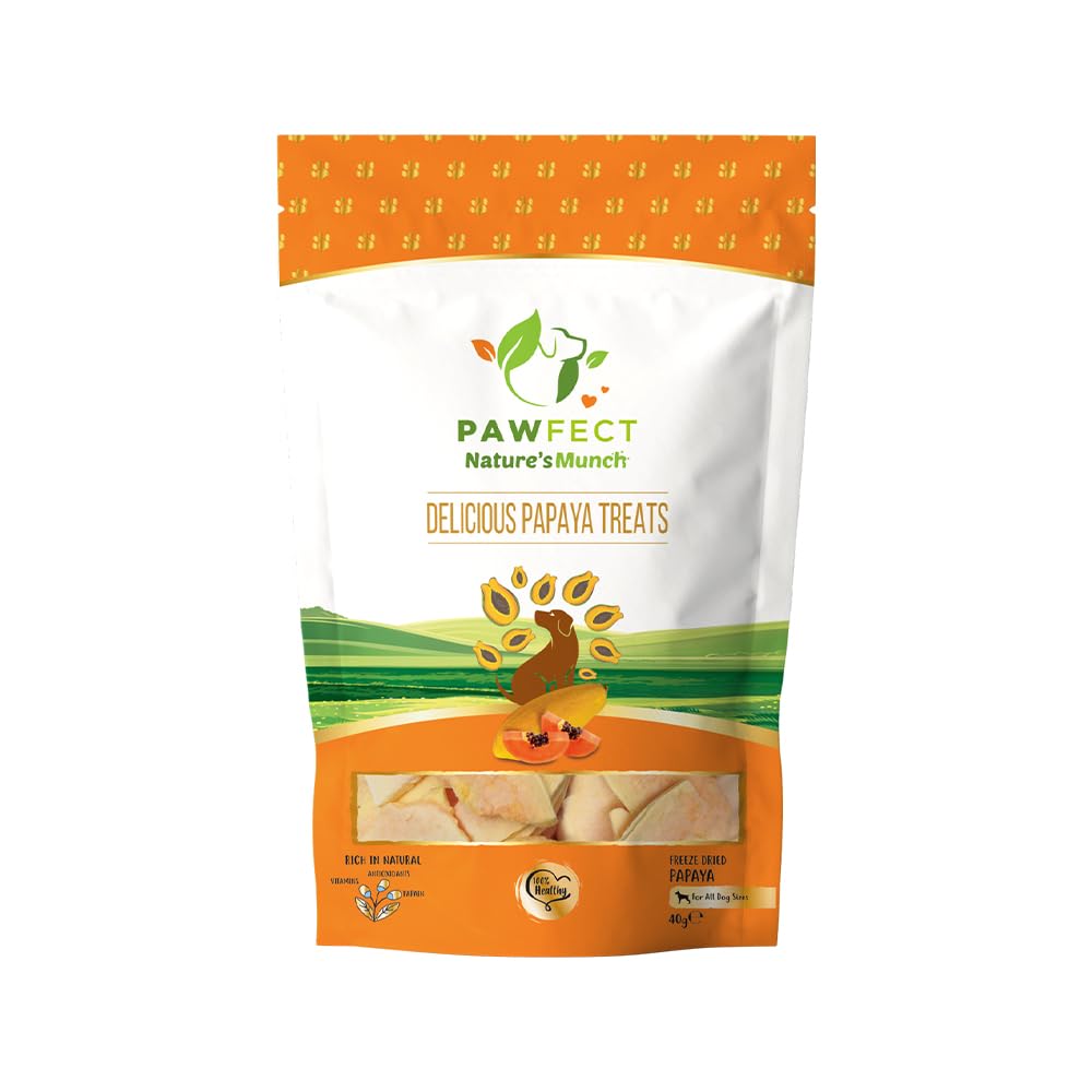 Single Ingredient Vegan Treats: Papaya (40g/1.41oz)