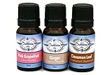 Destination Oils Essential Oil for Weight Loss Gift Set - Pink Grapefruit, Cinnamon, and Ginger. 100% Pure Undiluted Therapeutic Grade