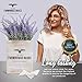 3-in-1 Countree Tissue Box Cover Square: Rustic Farmhouse Bathroom Decor, Potted Lavender & Wood Tissue Box Holder Cube - Enhance Your Home Decor, Perfect for Living Room, Bedroom, Bathroom Storage