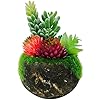 Potted Artificial Succulent Plants - Realistic Fake Plant in Cute Mini Pot with Mosses, Fake Succulent Plants in Pots… 51U9A9n2U1L