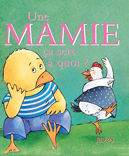 Une Mamie Bellier Sophie Hoffman Ginette Amazon Com Books