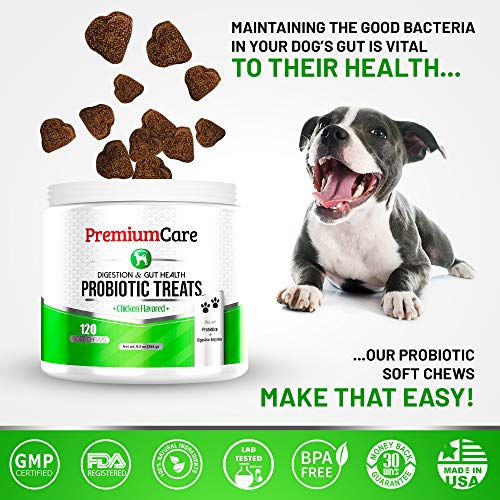 image for PREMIUM CARE Probiotics For Dogs - Advanced Dog Probiotics + Digestive