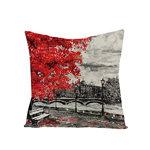 Begleri Throw Pillow Covers，Paris Throw Pillow Covers for Sofa Living Room Car 18 x 18 Inches，4 Pack.