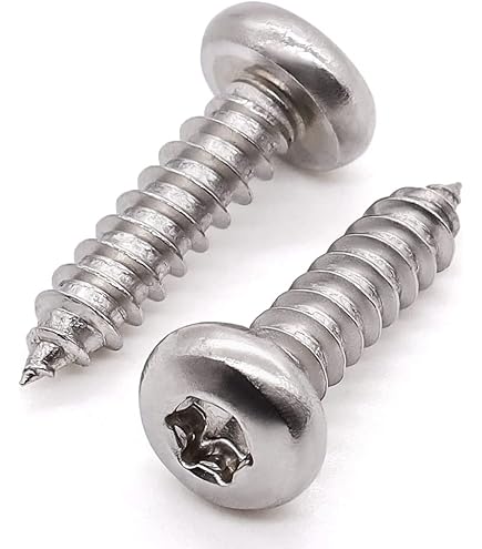 Stainless Steel Thread Rolling Screw For Plastic Passivated