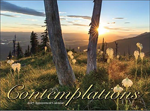 Contemplations 2017 Wall Calendar - 18" x 11" (Open)