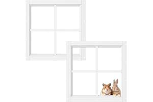 ASSTINOUS Shed Transom windows 12''x12'' Flush Mount Tempered Glass Fixed Windows, Small House Windows for Chicken Coop, Playhouse, Garage, Barn, Outdoor Building Replacement Windows-2 Pack