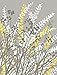 2 Grey, White and Yellow Floral Meadow Print Set; 2-11x14