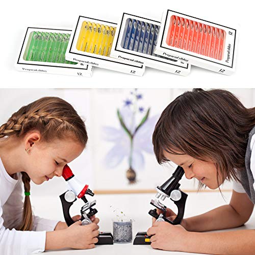 6 Prepared+Microscope+Specimen+Education+DIY+SCIENCE