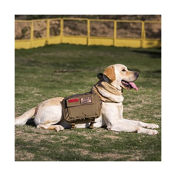 onetigris dog backpack