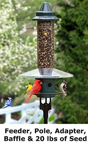 Amazon Com Squirrel Buster Plus Bird Feeder With Pole Guard