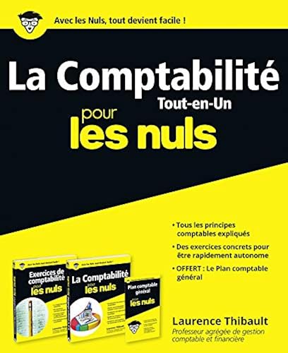 Download La Comptabilité Tout-en-un pour les Nuls PDF