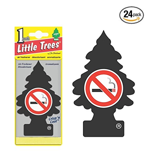 Little Trees® Car Air Fresheners No Smoking Scent (24 Pack)