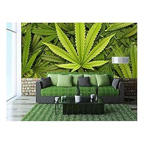 Big Marijuana Leaf Close Up with Texture Background...