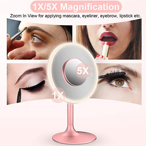 image for BABYLTRL Makeup Mirror Vanity Mirror with Lights, 1X/5X Magnification,