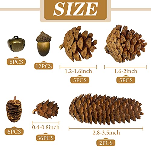CHolic 72Pcs Pine Cone Set, Natural Pinecone Acorns Pine Cones Ornaments for Autumn and Winter Crafts Decorating, Christmas Decor, Bowl Vase Fillers