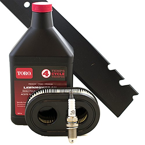Toro Recycler with Briggs and Stratton OHV Engine Tune-Up Kit (Serial Numbers 316000001 and Higher)