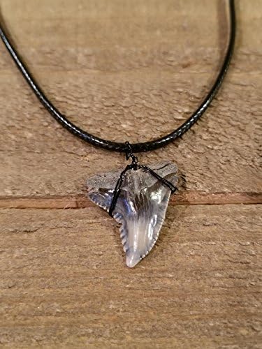 Real Shark Tooth Fossil Black Leather Necklace Ocean Sea Surf Collection Outdoor Rustic Fishing Water (N194)