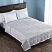 puredown® Blankets Queen Size - Soft Lightweight Down Blanket for All Seasons, Cozy Warm Luxury Bed Blanket with Satin Trim, Cotton Cover, Light Grey (90