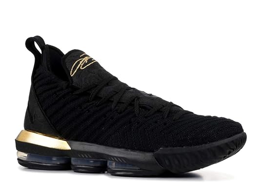 Nike Lebron James XVI