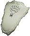 NORTY Stuffed Furry Animal Claw Paw Slippers for Toddlers, Kids, and Adults - Cozy Plush Design - Perfect for Boys, Girls, Men, and Women - House Footwear - Medium - White Polar Bear