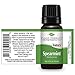 Plant Therapy Spearmint Essential Oil 10 mL (1/3 oz) 100% Pure, Undiluted, Therapeutic Grade