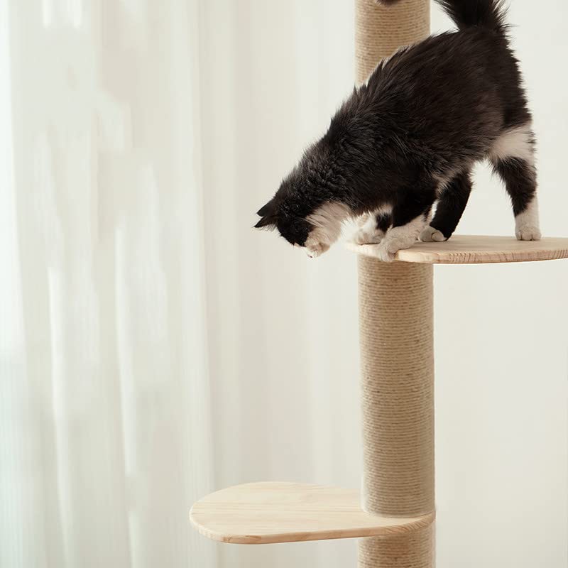 Felivecal DIY Best Wooden FloortoCeiling Cat Tree Tower for Kittens