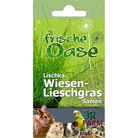 JR Frische Oase Saatgut Löwenzahn