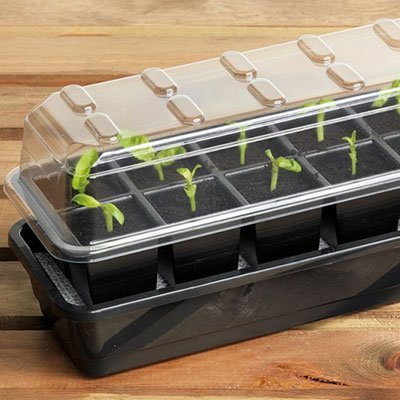 12 cell self watering seed success kit