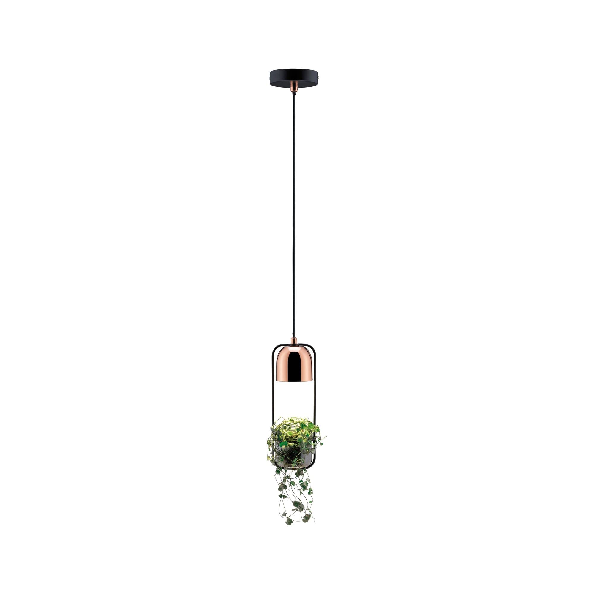 Paulmann 79749 Fanja Pendant luminaire Plant luminaire max. 20 watts Pendant lamp Black, Copper Metal GU10