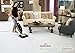 Soniclean Soft Carpet Vacuum Cleaner