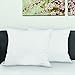 BioPedic Luxurious 28-by-28 Inch Euro Square Pillows, 2-Pack