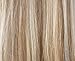 Halo style Hair Extensions - DayDream Hair by Hidden Crown on a wire - 100% Human Remy Couture Hair - No Clips, No Glue, No Damage! 100 grams. (14-16 inches, i - #622 Honey Blonde w/Lowlight Mix)