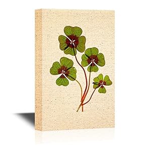 Canvas Wall Art - Four Leaf Lucky Clover Leaves - Gallery Wrap Modern Home Art | Ready to Hang - 12x18 inches