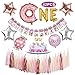 Donut 1st Birthday Party Supplies Set, BAPHILE First Birthday Party Decoration Kit Donut Foil Balloons Chair Garland 12 Month Baby Photo Banner for Baby Shower Donut Party Wall Decor