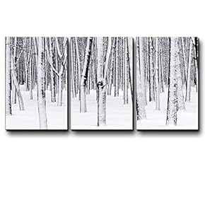 Three Piece Tree Forest Covered in Snow During...