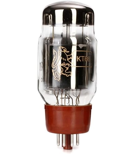 Amazon.com: Genalex Gold Lion KT66 Power Tubes - Matched Duet