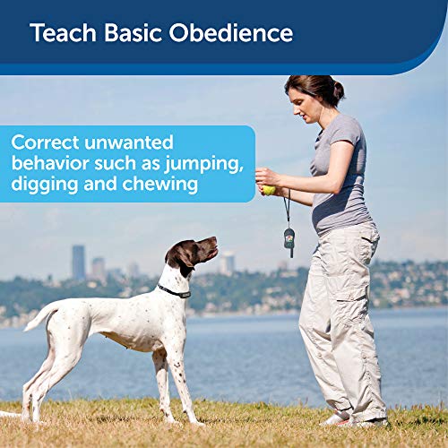 PetSafe Elite Little and Big Dog Remote Trainers, for Small, Medium and