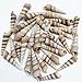 PEPPERLONELY Medium Purple Turitella Sea Shells, 8 OZ Approx. 36+PC Shells, 2 Inch ~ 3 Inch
