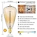 KINGSO 10 Pack E12 Vintage Edison Light Bulbs 40W 110V Antique Dimmable Nostalgic Tungsten Filament Candelabra Base Incandescent Lamp Squirrel Cage Style Bulbs ST48 for Home Light Fixtures