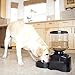 topPets PF-19A Automatic Pet Feeder Perfect Dinner Pet Feeder for Dog and Cat with Portion Control w/ LCD display by topPets