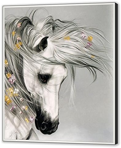 NAN Wind Horse Art Prints On Canvas Animal Painting for Home Decoration,Flower Horse Pattern,20 x 24 inch Canvas Stretched and Framed Ready to Hang for Home Decor