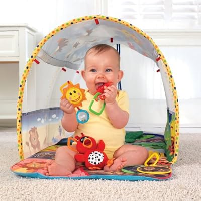 baby einstein tunnel