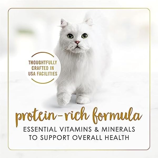 PURINA FANCY FEAST GRAVY LOVERS POULTRY AND BEEF GRILLED GOURMET WET CAT FOOD VARIETY PACK – (PACK OF 30) 3 OZ. CANS
