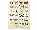 Gift Republic Ecologie Multiple Butterfly Tea Towel, Multi-Colour