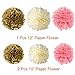 Paxcoo Pink and Gold Happy Birthday Banner with Tissue Paper Pom Poms Tassel Garland for Party Decorations