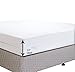 Microfiber Zippered Mattress Cover, Bed Bugs Shield, Dustmites Protector, Hypoallergenic (Twin)