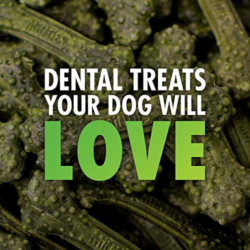 VetIQ Minties Dog Dental Bone Treats, Dental Chews for Dogs, (Perfect