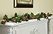 Collections Etc Holly Berry String Lights Garland with Timer 170